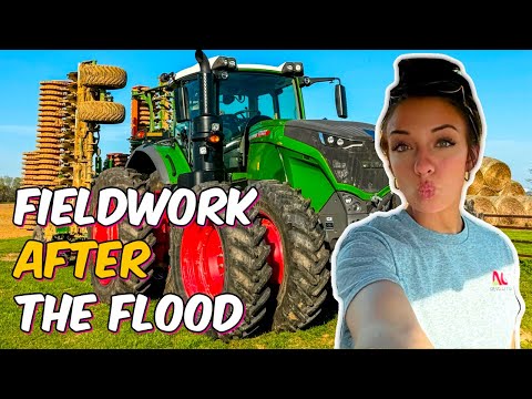 Disking with the Amazone Catros on a Fendt 1042