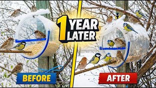 I Made This DIY Bird Feeder 1 Year Ago — Here’s What Happened