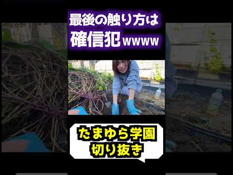 心が汚れている人には違うモノに見える動画　[たまゆら学園][切り抜き]