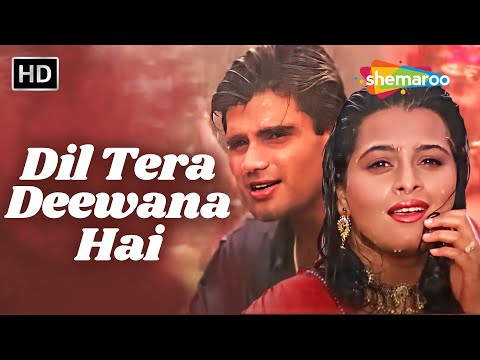 Dil Tera Deewana Hai Dil Tera Deewana | Raghuveer(1995) | Sunil Shetty,Shilpa Shirodkar | Kumar Sanu