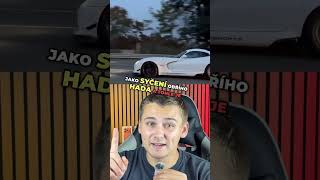 Tak co, které je nejlepší?🐯🤩