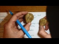 Fossil Formation and Significance