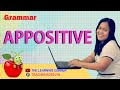 Understanding Appositives in Sentences