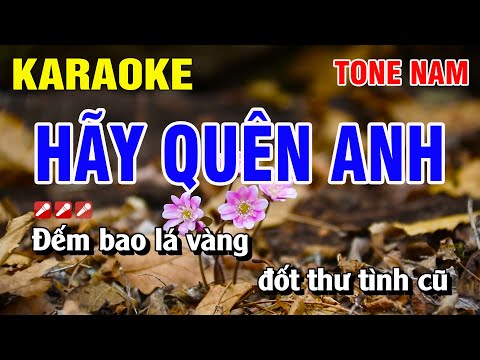 Karaoke Hãy Quên Anh Tone Nam Nhạc Sống | Nguyễn Linh