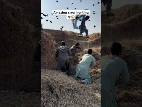 Amazing crow hunting 🐦‍⬛😱 #birds #birdhunting #hunting #trendingshorts #shorts #youtubeshorts