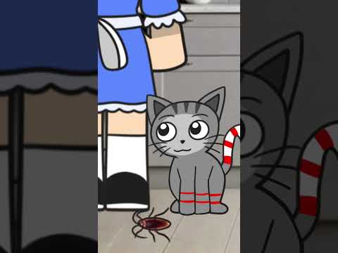 Cat and Cockroach Prank! 😹🪳| Paradise of Sweetness