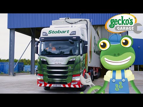 Meet the Mega Truck! 🚛⚡| Gecko's Garage 🚚 | Cartoons For Kids | Toddler Fun Learning