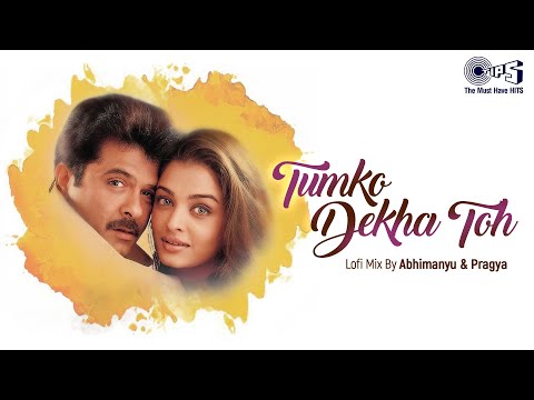 Tumko Dekha Toh - Lofi Mix | Hamara Dil Aapke Paas Hai | Alka Yagnik, Kumar Sanu | Hindi Lofi Mix