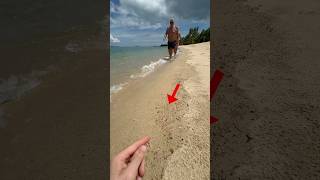 I found this in the sand!