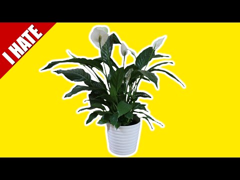 I HATE DURR PLANT (AND JOKE THIEVES)