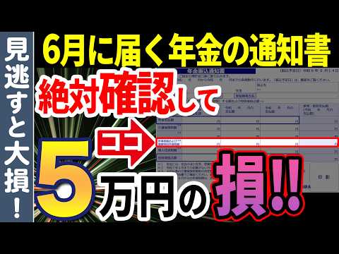 【6月に届く】年金通知書のココだけは絶対にチェックして！確認しないと損する項目について解説【年金額改定通知書/振込通知書】
