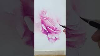 Watercolor rose painting | Pink Rose watercolor #shorts