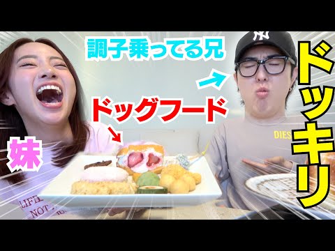 【ドッキリ】妹が兄にドックフードを手料理と嘘ついて食べさせたらやば過ぎたwwwww