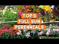 Plant Care and Characteristics