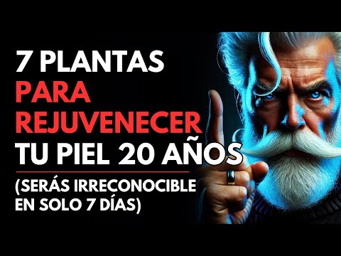 7 Plantas Que Rejuvenecen Tu Piel Y Restauran El Colágeno (Tu Salud Mejorará) | ESTOICISMO