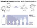 Lactose Intolerance and Its Effects