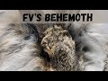 FV's Behemoth, 7 months