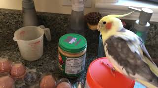 Cooking with Larry The Bird!