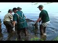 Beach Cleanup Initiative Awareness