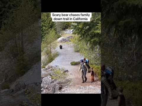 Una familia se encuentra con un oso durante un trail en California