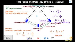 Time Period and Frequency of Simple Pendulum
