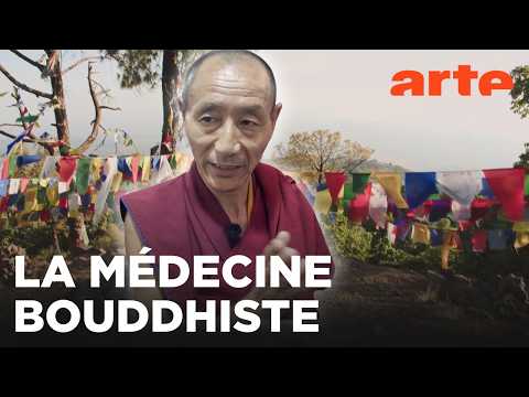 La médecine tibétaine, l'art de guérir | GEO Reportage | ARTE Family