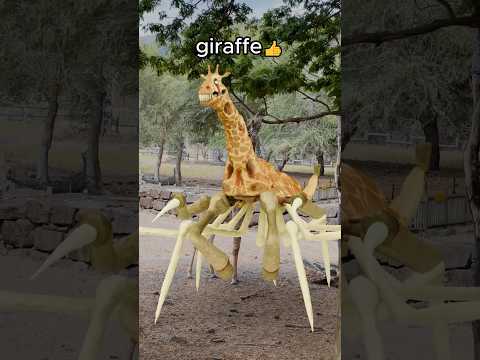 Zoochosis in real live. Zebra 🦓 , giraffe 🦒 !!!