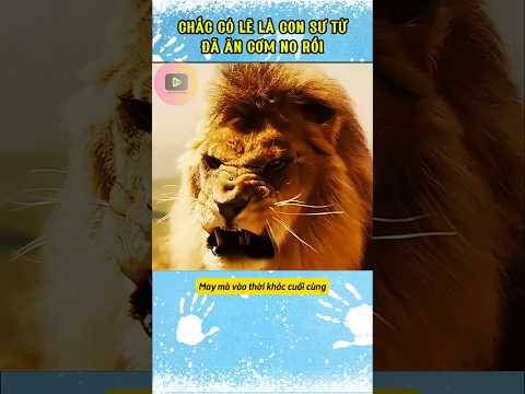 Chắc Là Con Sư Tử Đã Ăn Cơm No Rồi. #shortreview #reviewphim #phimmới #trichdoanphim