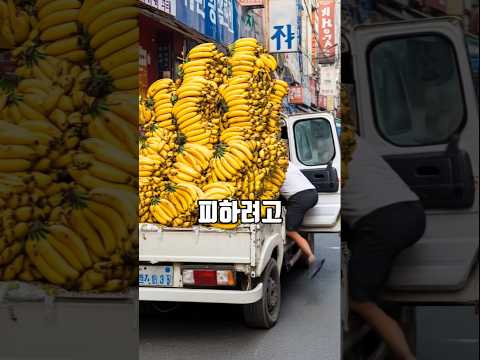 경찰을 피해 달아난 바나나장수의 최후