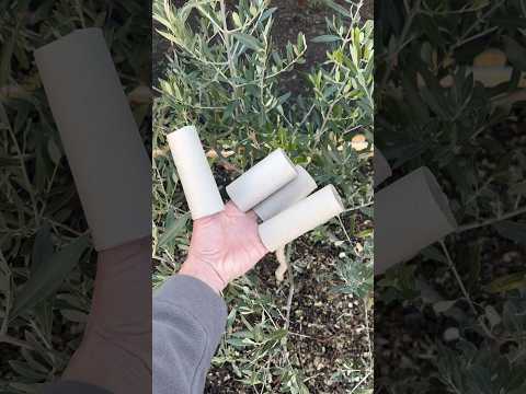 Fabrique des pots à semis gratuit #jardinage #printemps #astuce