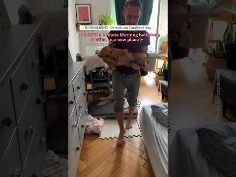 Quick Bathroom routine with Dobby, our dog with paralysis