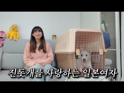 한국 유기견을 입양해서 키우는 마음씨 따뜻한 일본뇨자 이야기 | [복터뷰 / 레이]