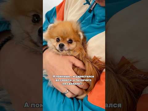 Мы не бросили тебя😭❤️‍🩹