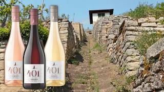 401 Stäffele. Der Wein. Eine Geschichte.