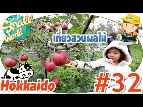 เด็กจิ๋วเที่ยวสวนผลไม้ เก็บแอปเปิ้ลกินไม่อั้น อร่อยที่สุดในโลก (Hokkaido #32)