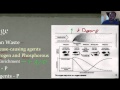 Wetland Water Treatment Concepts