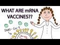 mRNA Vaccines and Their Mechanisms