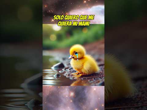 El patito feo 🐥 #shortsviral #mismascotas #babyanimal #paramascotas #pato #patitofeo #babypet