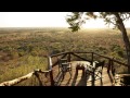 Exploring Kenya's Wildlife and Tourism