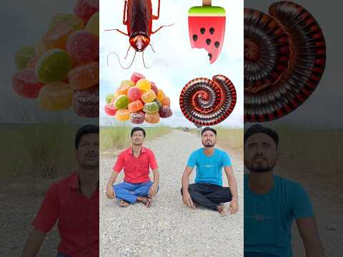 two brothers eating challenge vfx magic video