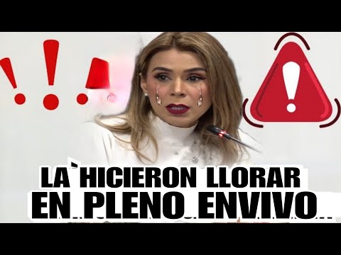 🔴LA HICIERON LL0R4R EN PLENO ENVIVO EN LA COMISION A MARCELA VILLATORO  👀