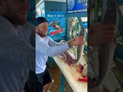 You WON’T Believe what we pulled out of this shark 🤯 #Reel #Fishing #Insane