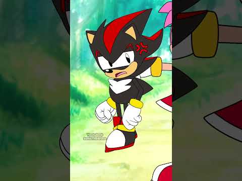 AMY ROSE MEETS CLASSIC SHADOW THE HEDGEHOG
