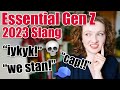 Understanding Gen Z Slang Terms