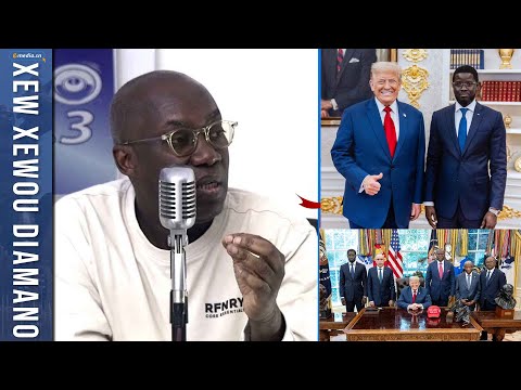 Ibou Fall sur le voyage de Diomaye aux États-Unis : "Ce n’était pas préparé"