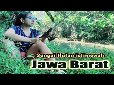 Mancing ikan air tawar SPESIAL di sungai hutan alam kampung pedesaan