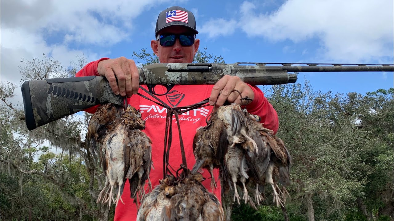 QUAIL CATCH AND COOK---- - Bluegabe