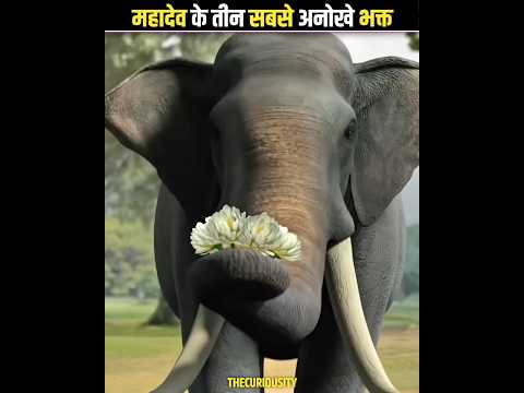 😱 महादेव के सबसे अनहोखे भक्त  #shorts #trending #viralvideo