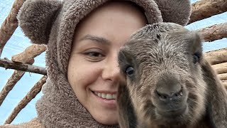 İNSTAGRAMDAN GELEN SORULARI CEVAPLADIM, BURUN AMELİYATIM, HİSSELİ TAPULU TARLAYI NE KADARA ALADIM???