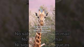 Ojalá yo. #LasMaravillasOcultasDeAfrica